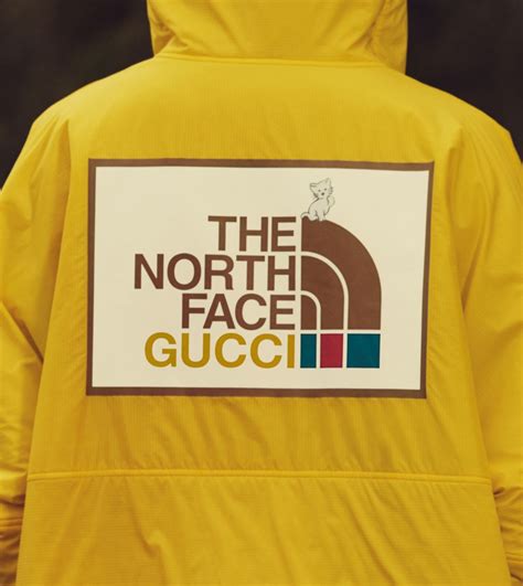 north face x gucci|gucci north face shop.